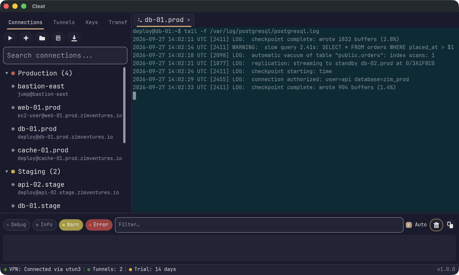 The Cleat window: connections docked on the left, a terminal tab
                  tailing a Postgres log, the activity log along the bottom, and a
                  status bar showing the VPN and two active tunnels.